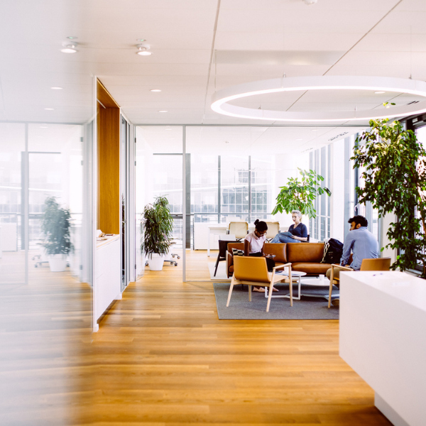 Helles modernes Büro mit Rundleuchten und Holzboden – Employer Consulting und Arbeitgeberidentität mit arthus Personalberatung Wien